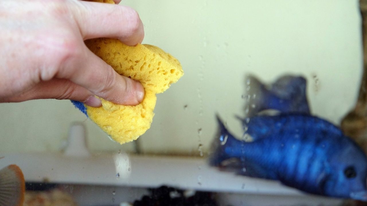 鱼缸的正确摆放位置哪里最佳,鱼缸位置摆放的正确方法图