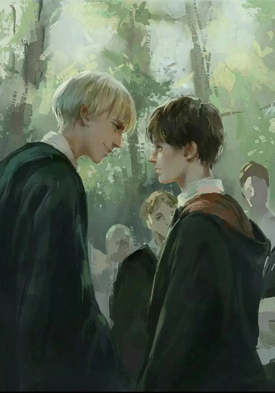 德拉科马尔福七年,德拉科马尔福十件事