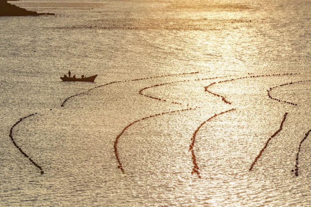 忽然想去旅游了,忽然想去宁波了