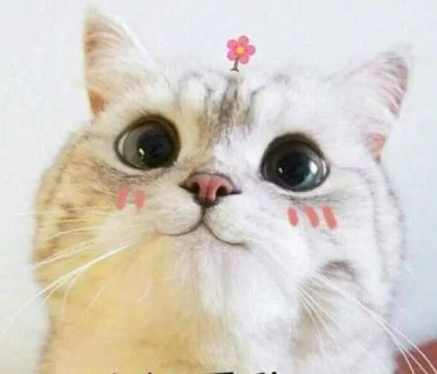 微信可以盗用语音吗,微信语音聊天如何不被别人盗听