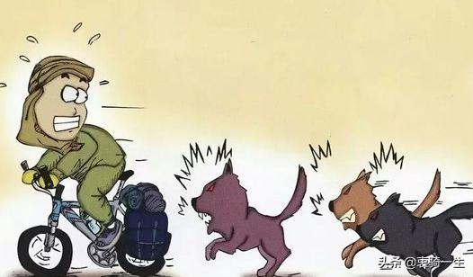 跑步遇到狗狗怎么办,第一次遇到狗狗如何和它打好关系