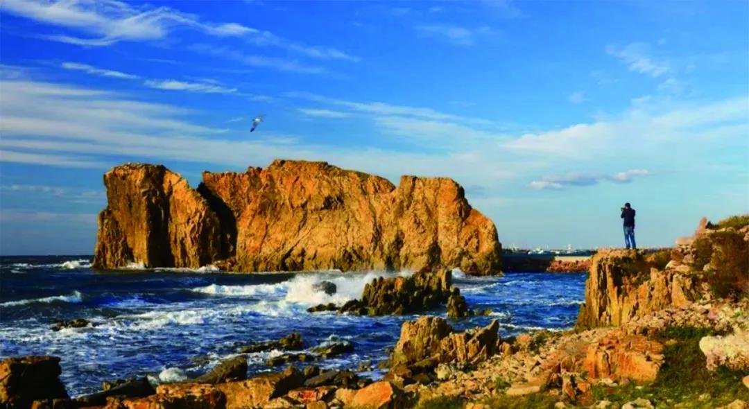 沈阳市新闻12月5日,沈阳新闻15日微博