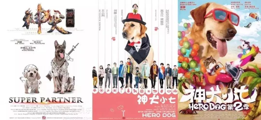 神犬小七第一季小七成为神犬,神犬小七3奇奇