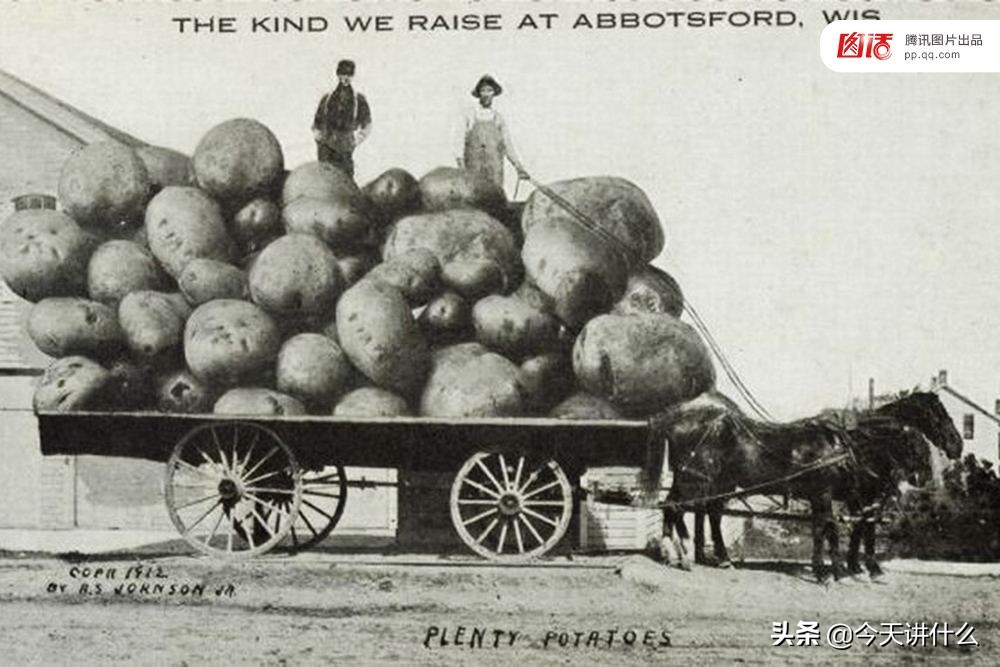 爱尔兰大饥荒、土豆、吉芬商品,这个有点意思