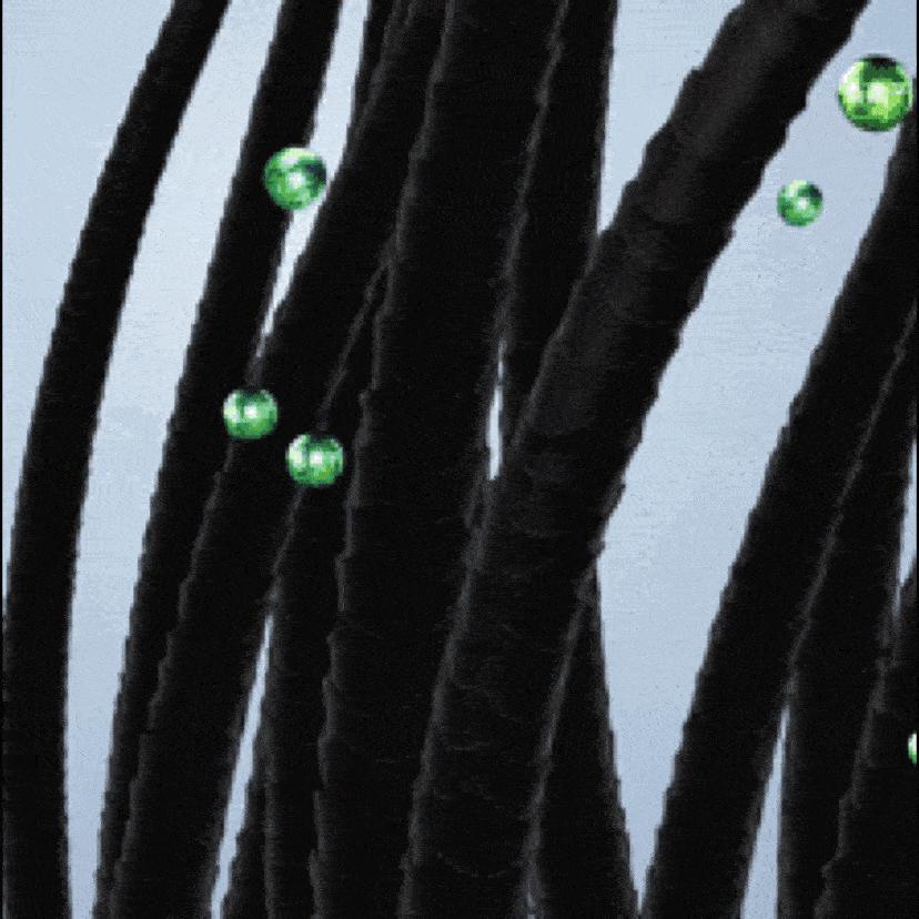 中国口碑最好的洗发水无硅油,洗发水推荐平价学生30元左右