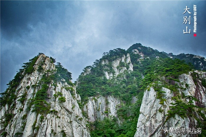 不输黄山迎客松的迎客松,不输黄山的景点