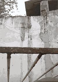 每日一乐让你一天都快乐,每日一乐让你快乐