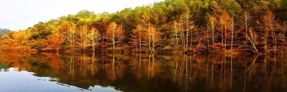 东莞周边11月份赏红叶好去处,东莞观音山看红叶攻略