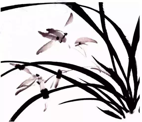 徐湛国画兰花的画法,徐湛国画兰花的画法视频教学