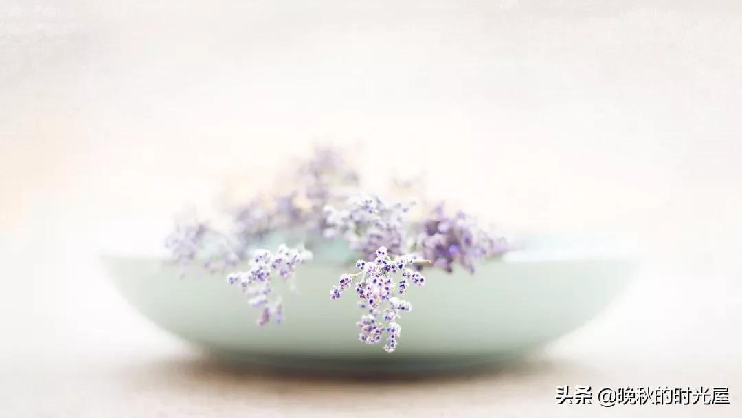 我们以为来日方长,许多时候我们总是以为来日方长