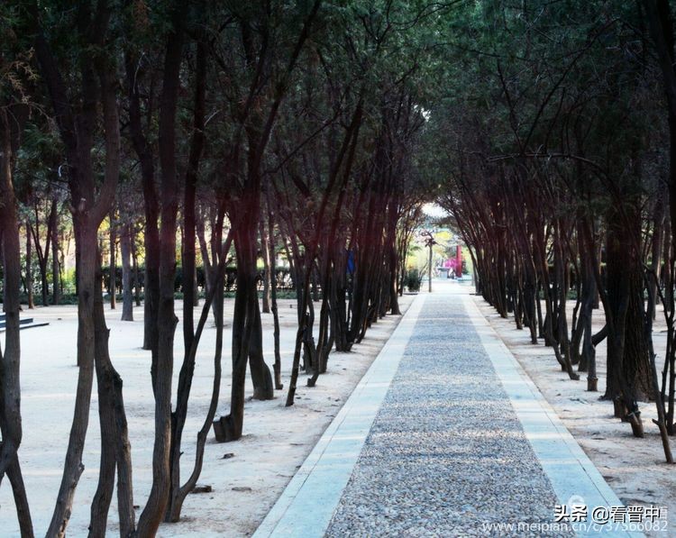 山西农大美丽的校园,山西农大校园风光