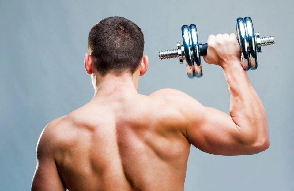 肩部中束细节,肩部肌肉有哪几部分