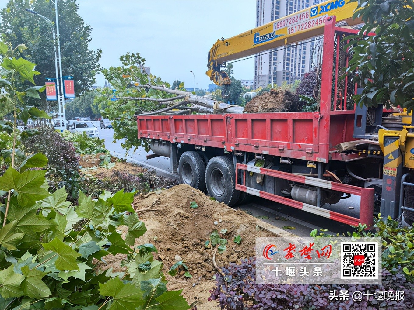 十堰市新增过街天桥,十堰拟建一座人行天桥