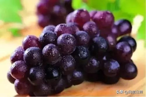 日照金山,日照旅游攻略