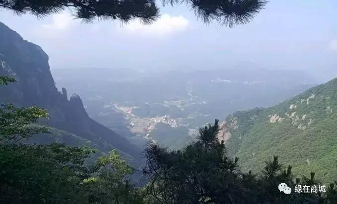 「品读」我的前男网友——以后真的不单独见面吗?/江河之王