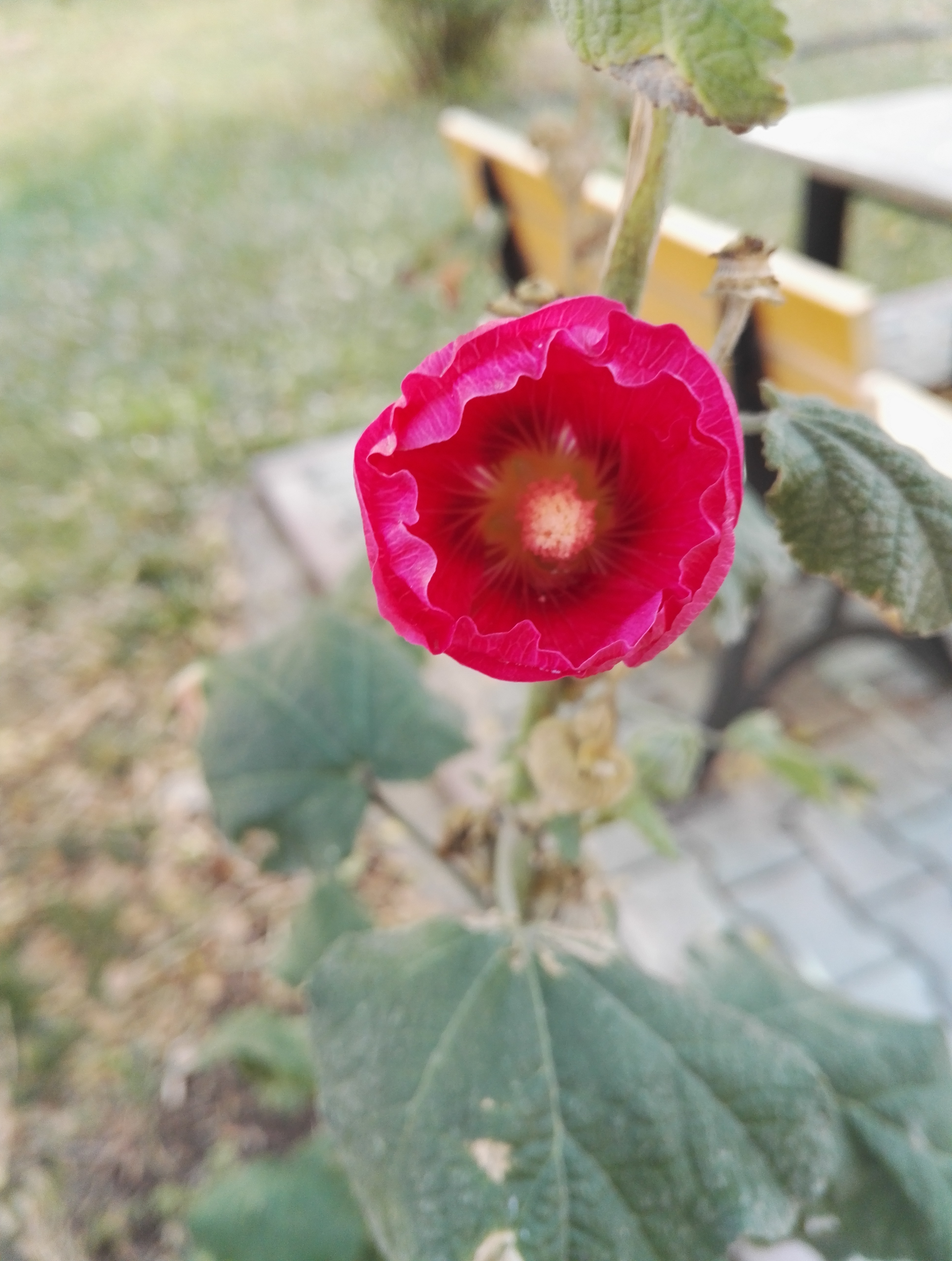 童书出版妈妈幸福教师培训感想