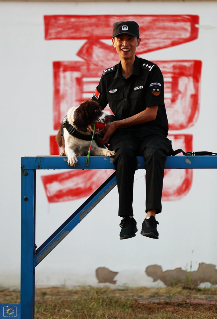 警犬训犬师的工作和生活,如何成为一名合格的警犬训导员