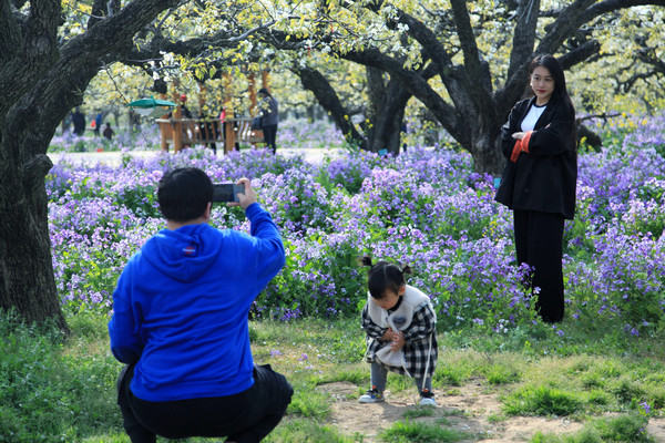 春游江淮请你来滁州版,春游江淮等您来
