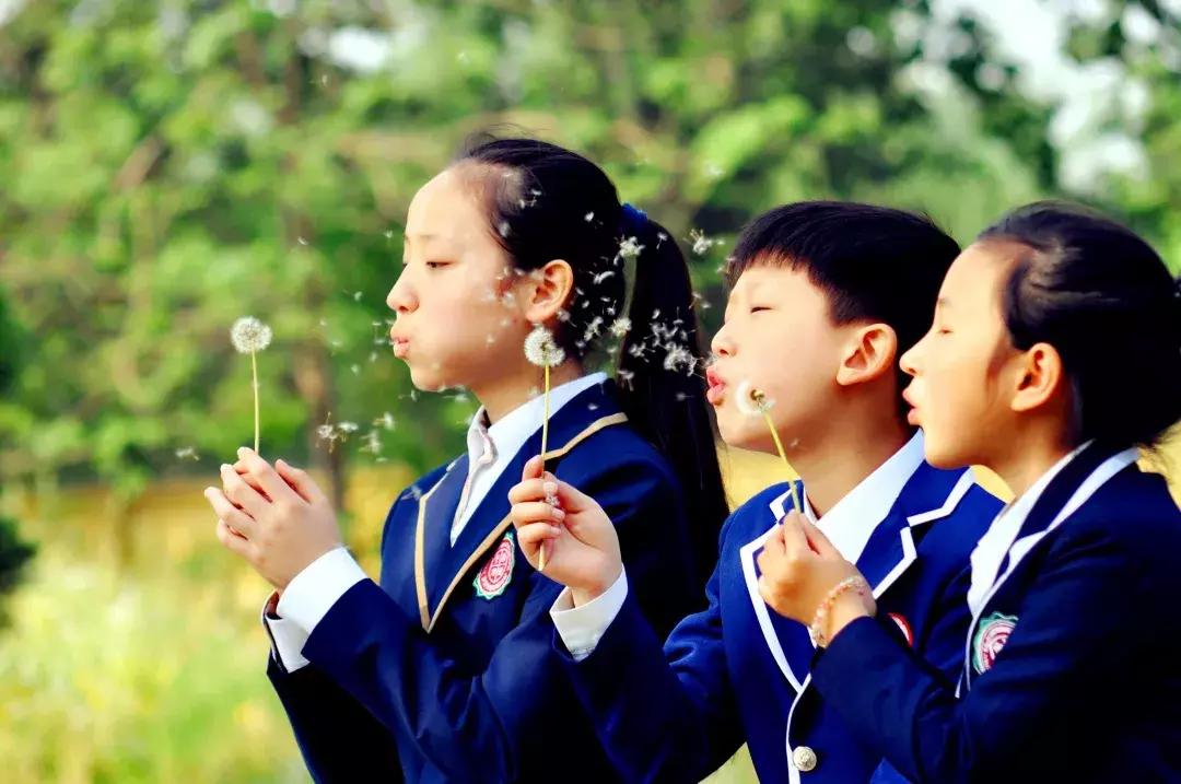 西安博爱国际学校中学部口碑,西安博爱国际学校全景