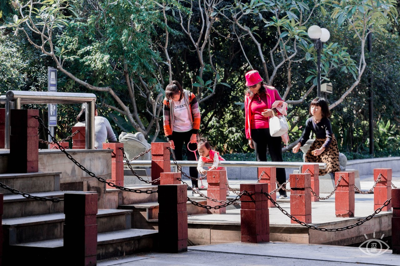 深圳十大顶级公园,深圳市十大风景公园排名