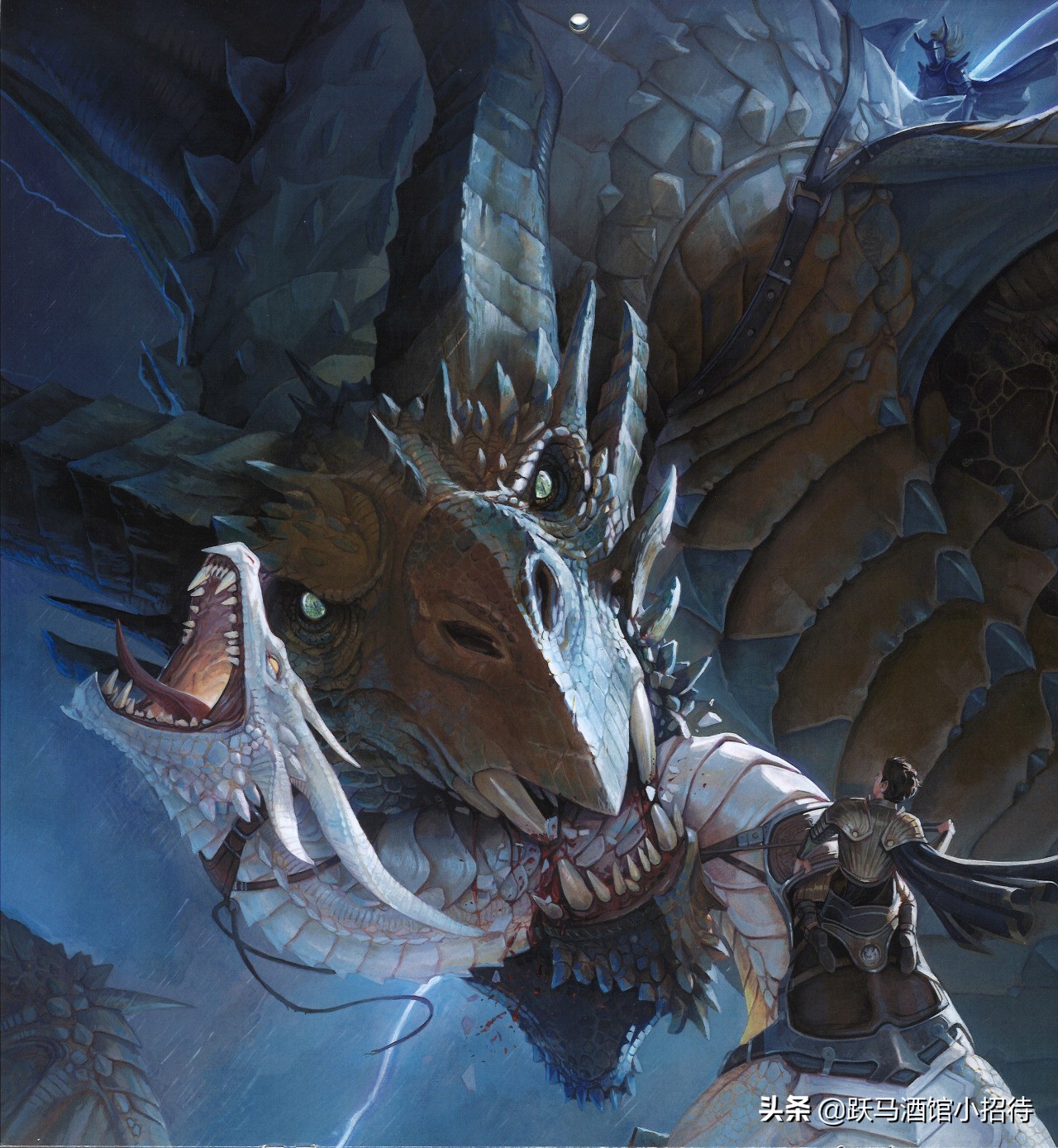 冰与火之歌坎尼会战,冰与火之歌各个家族的分布地