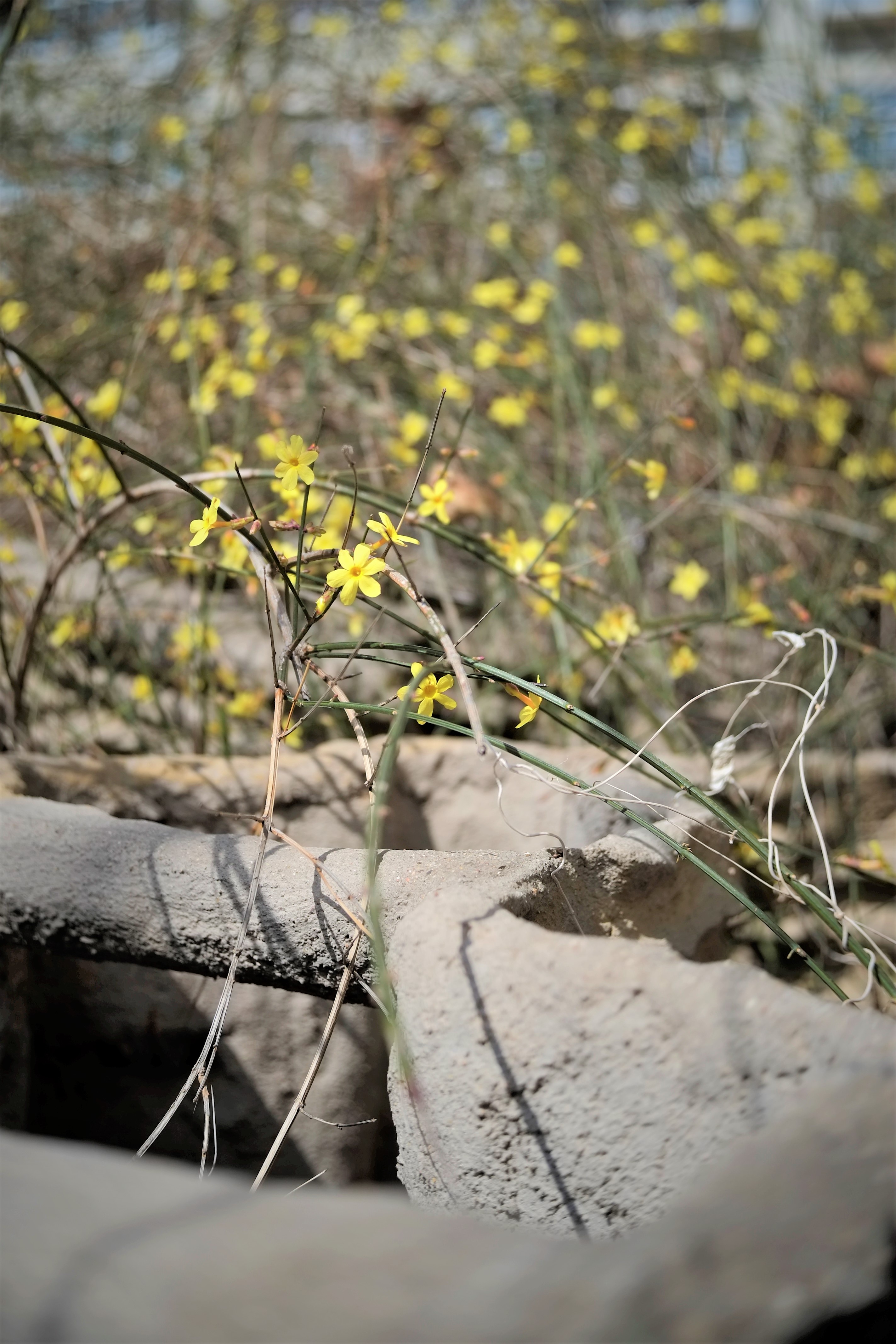 「老相机」照片中毒/二手富士X-PRO1+七工匠25mmF1.8的魅力