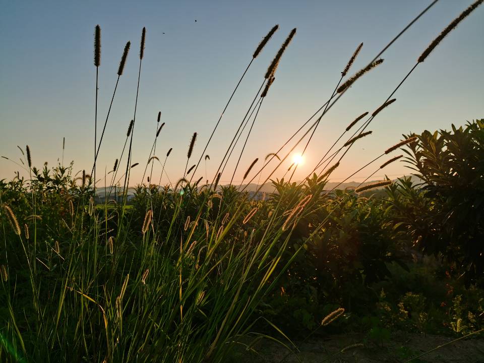 Day3文档的基础操作2（字体、段落的格式设置）