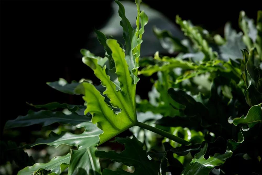 探秘！10000㎡打造世界烘焙商业新物种！！！（系列一）