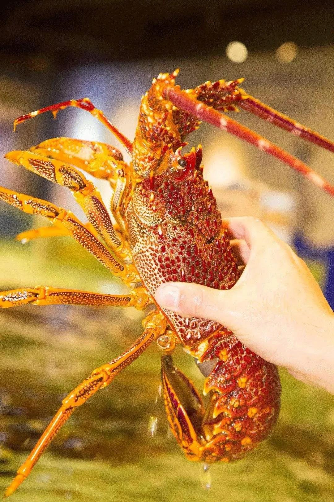 厦门领取消费券,厦门最便宜消费券在哪里领