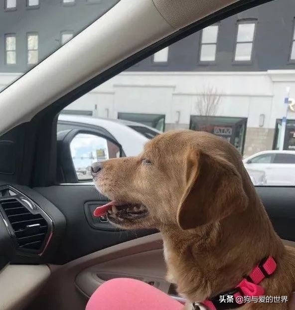 鏅氫笂瀹堕噷杩涗簡涓嶆槑鐢熺墿,鐢峰瓙鍗婂鍥炲閬囦笂涓嶆槑鐢熺墿