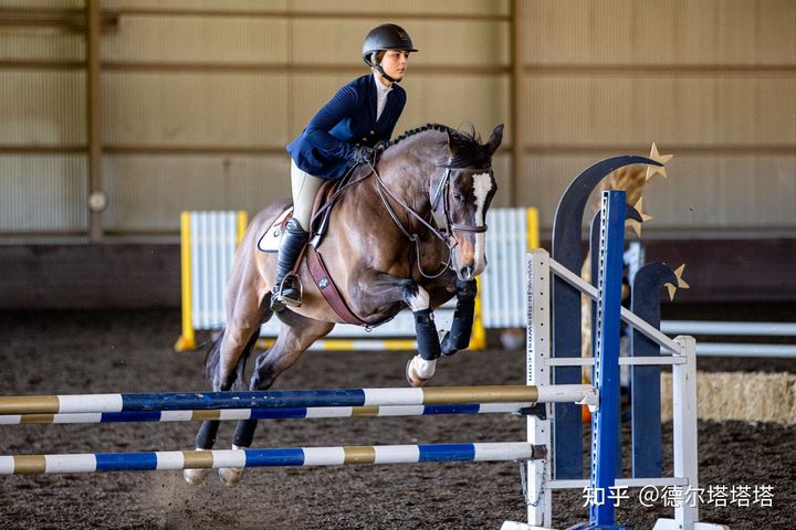 加州大学戴维斯分校和洛杉矶分校,加利福尼亚大学戴维斯分校qs