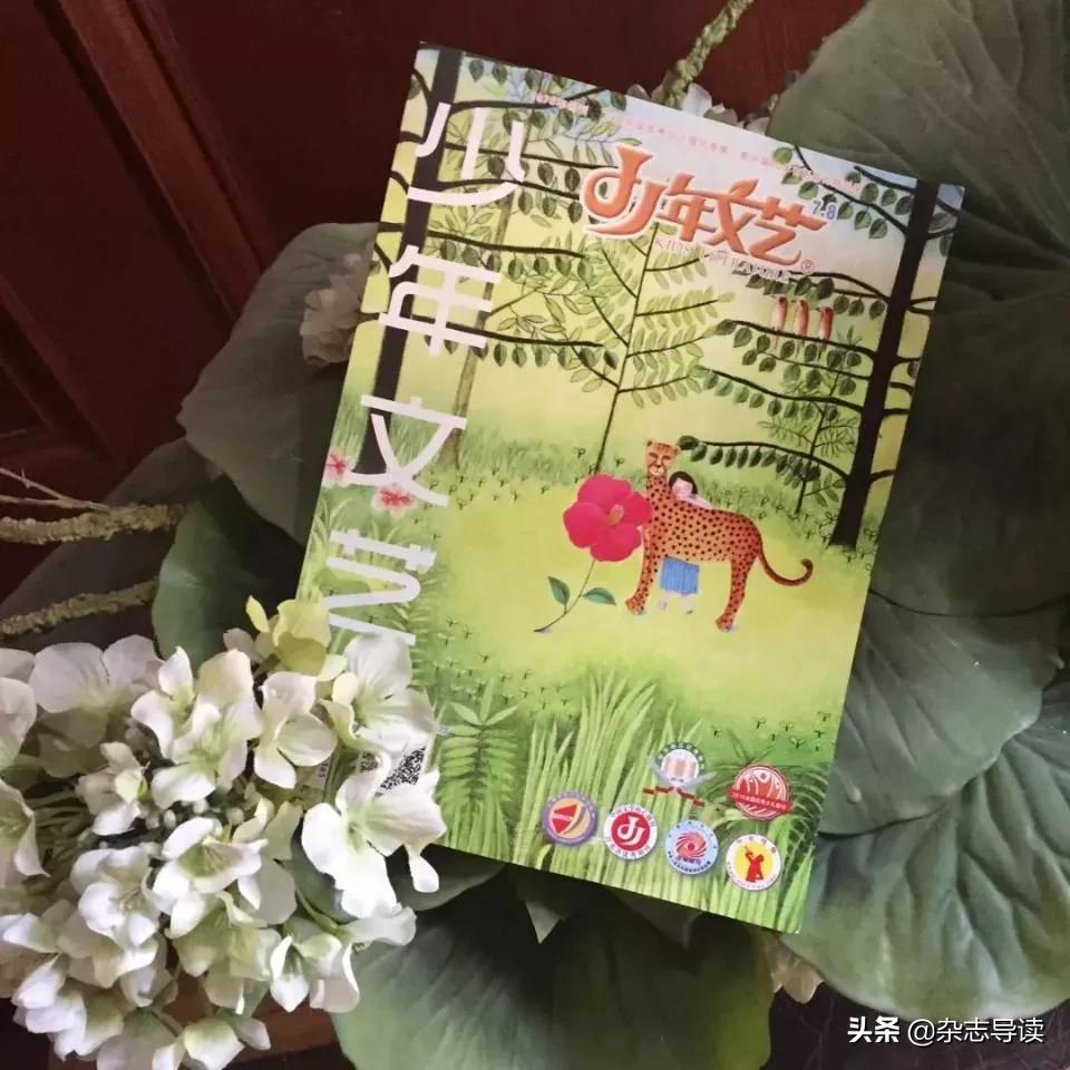 写作必看杂志推荐儿童,能帮助孩子写作提升的文学杂志