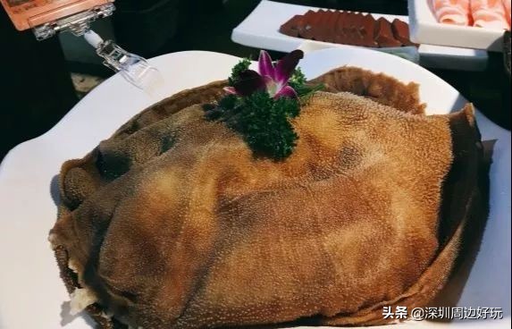 深圳地铁三号线沿途美景与美食,深圳9号线哪个地铁站有美食