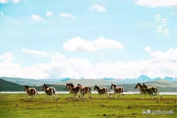 我想带你去*藏西**，行到水穷处，坐看云起时