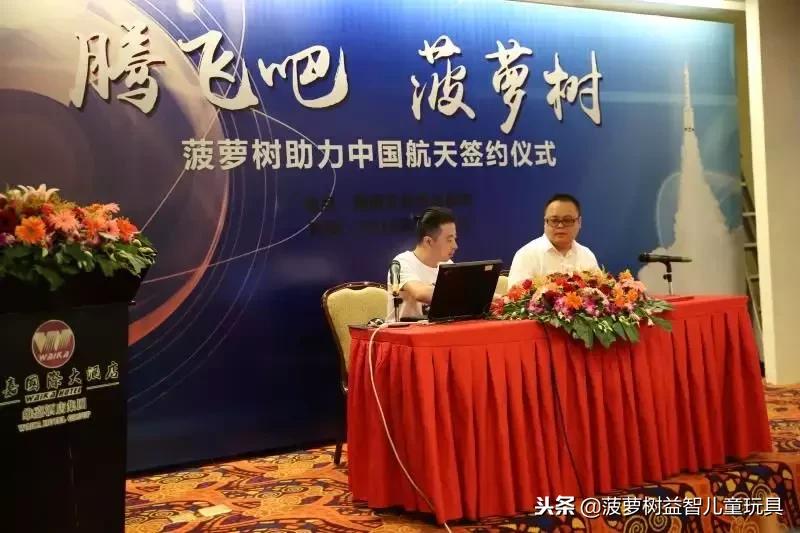 菠萝树儿童益智玩具怎么玩,菠萝树益智玩具活动方案