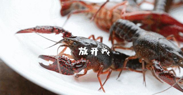 徐州地道小龙虾,徐州小龙虾哪家正宗