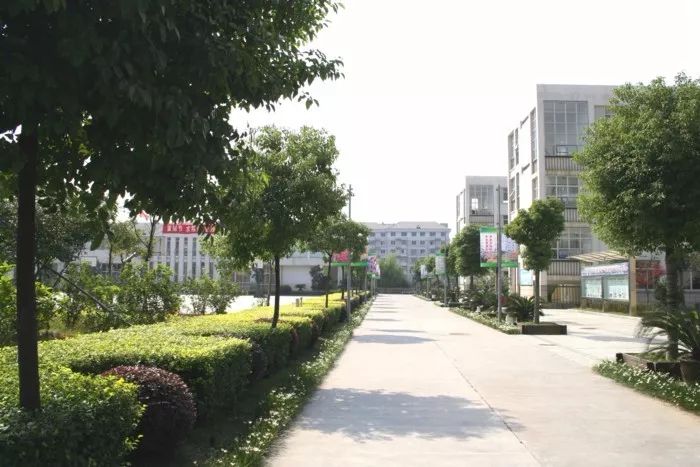 绍兴市第一中学项目公示,绍兴即将新开的学校