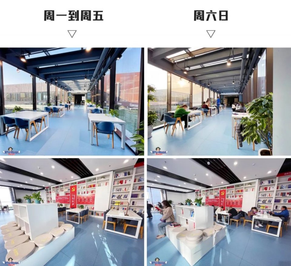 美哭了！沈阳公园里的高颜值城市书房，周末限流入馆！暴风哭泣