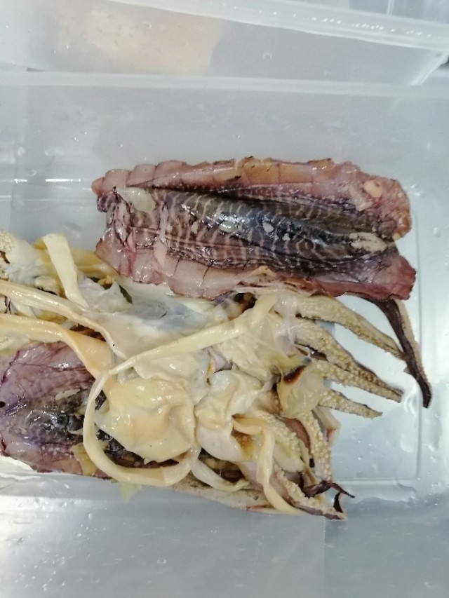 软烂墨鱼,舟山脏墨鱼