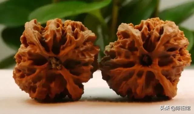 十大鲜核桃,100个精品核桃