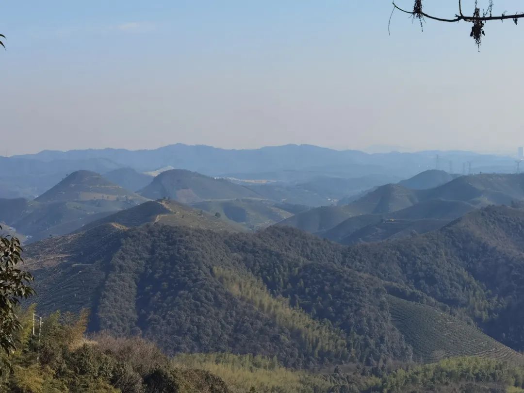 怀孕的那些事带字图片,怀孕的那些事之妊娠保健