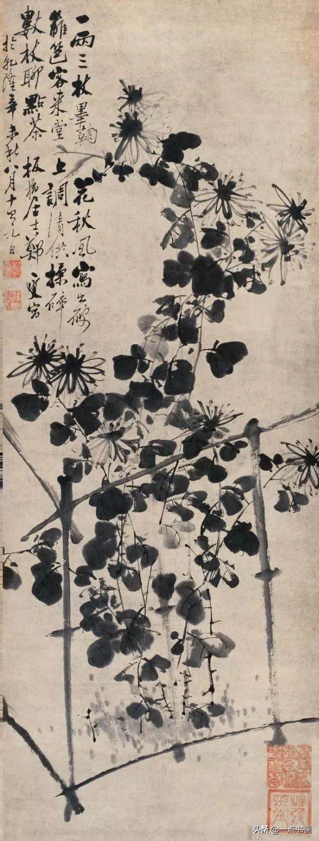 国画菊花画法步骤图解,国画菊花品种大全