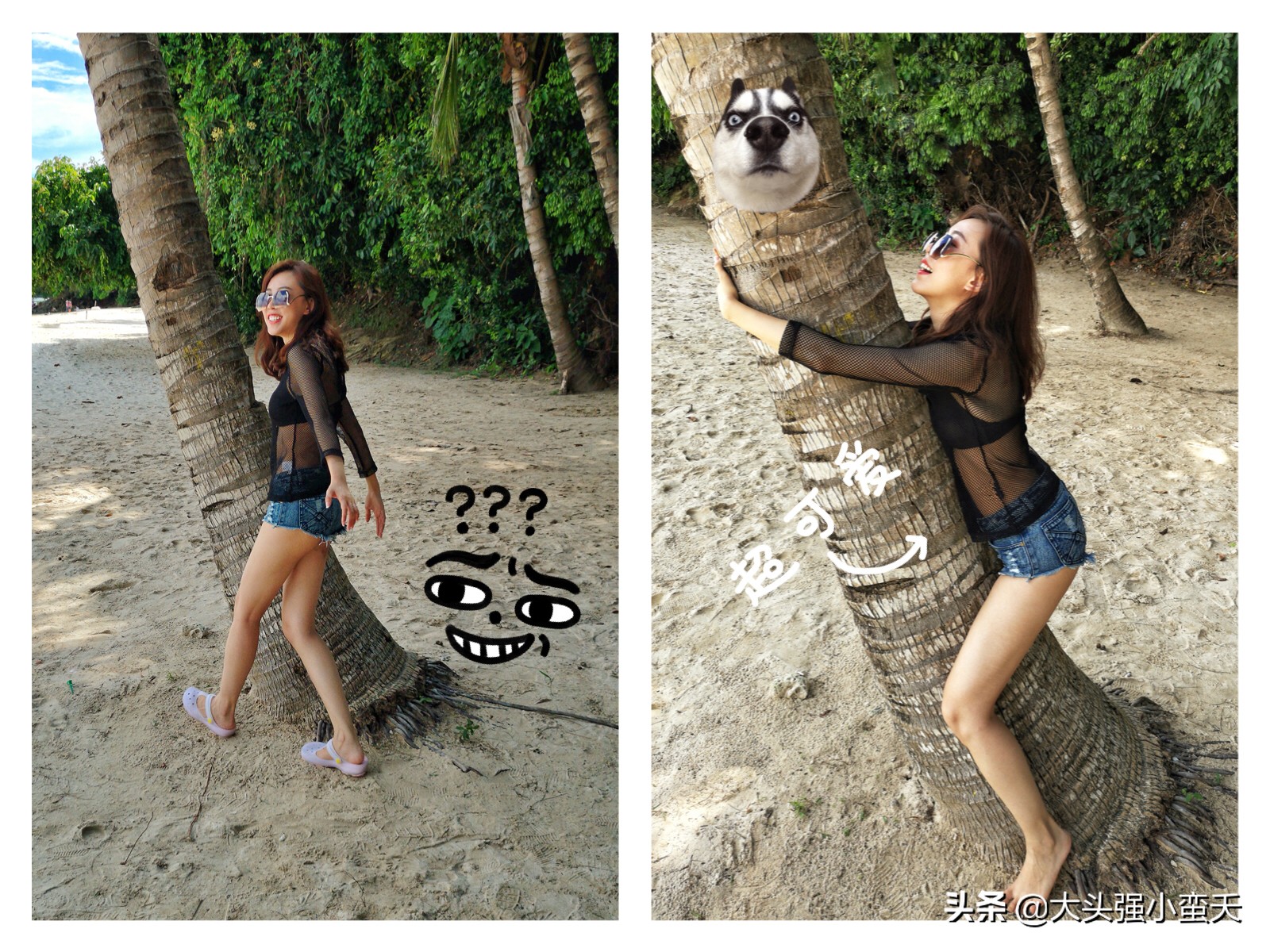 沙巴马穆迪岛为什么最小 (马穆迪岛海岛)