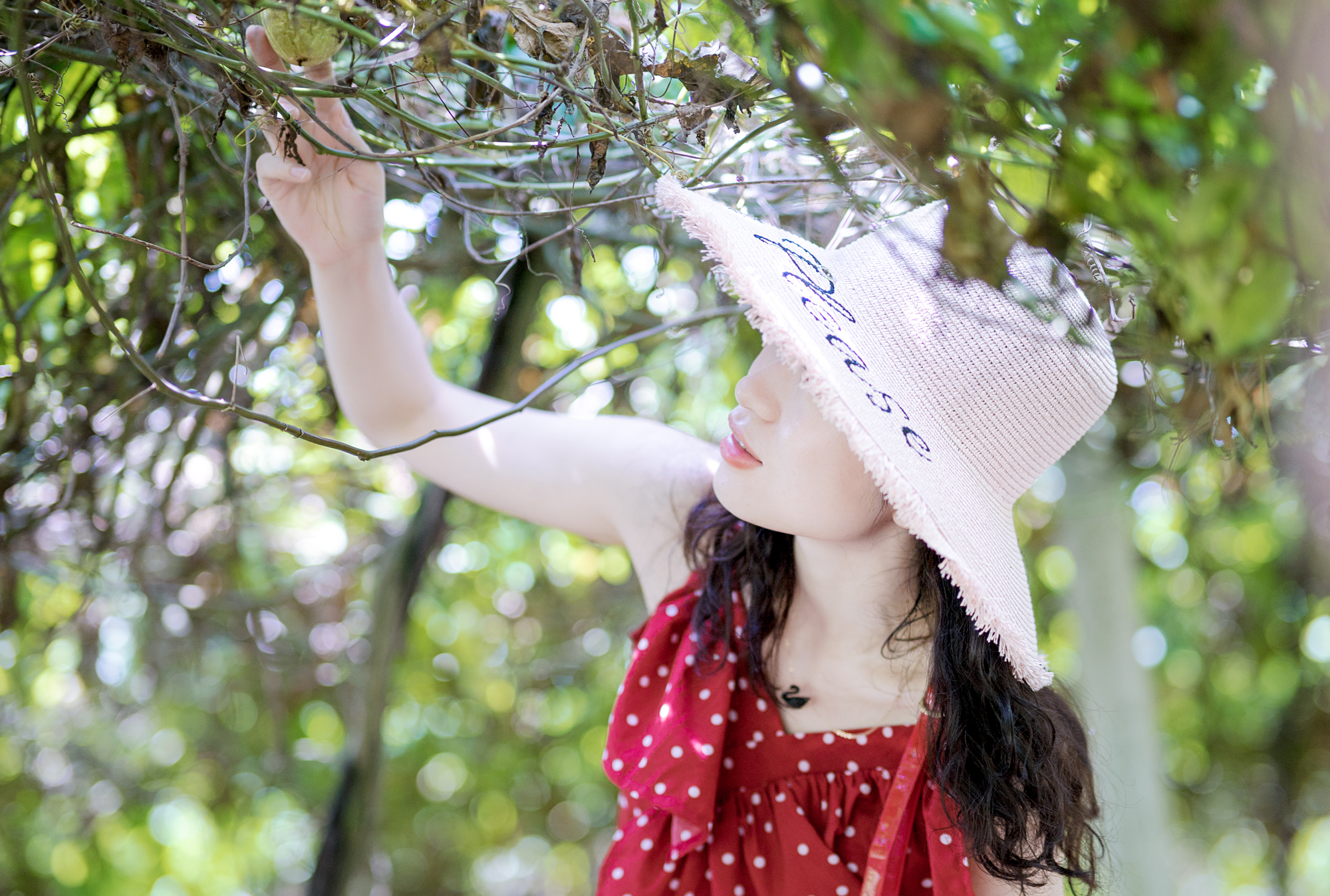 瑟瑟发抖，明天我要去做光子嫩肤了