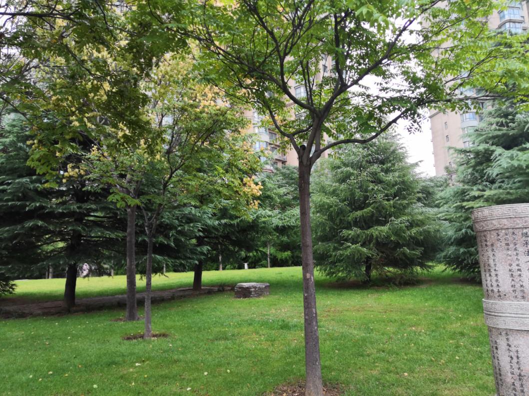 园林养护的十大流程,园林养护基础知识