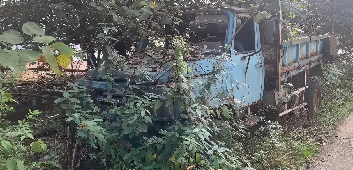 从豪华别墅群到城市“探险”乐园—南山公馆别墅群的前世今生