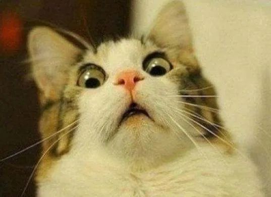 新繁现状,新繁为什么发展不起来