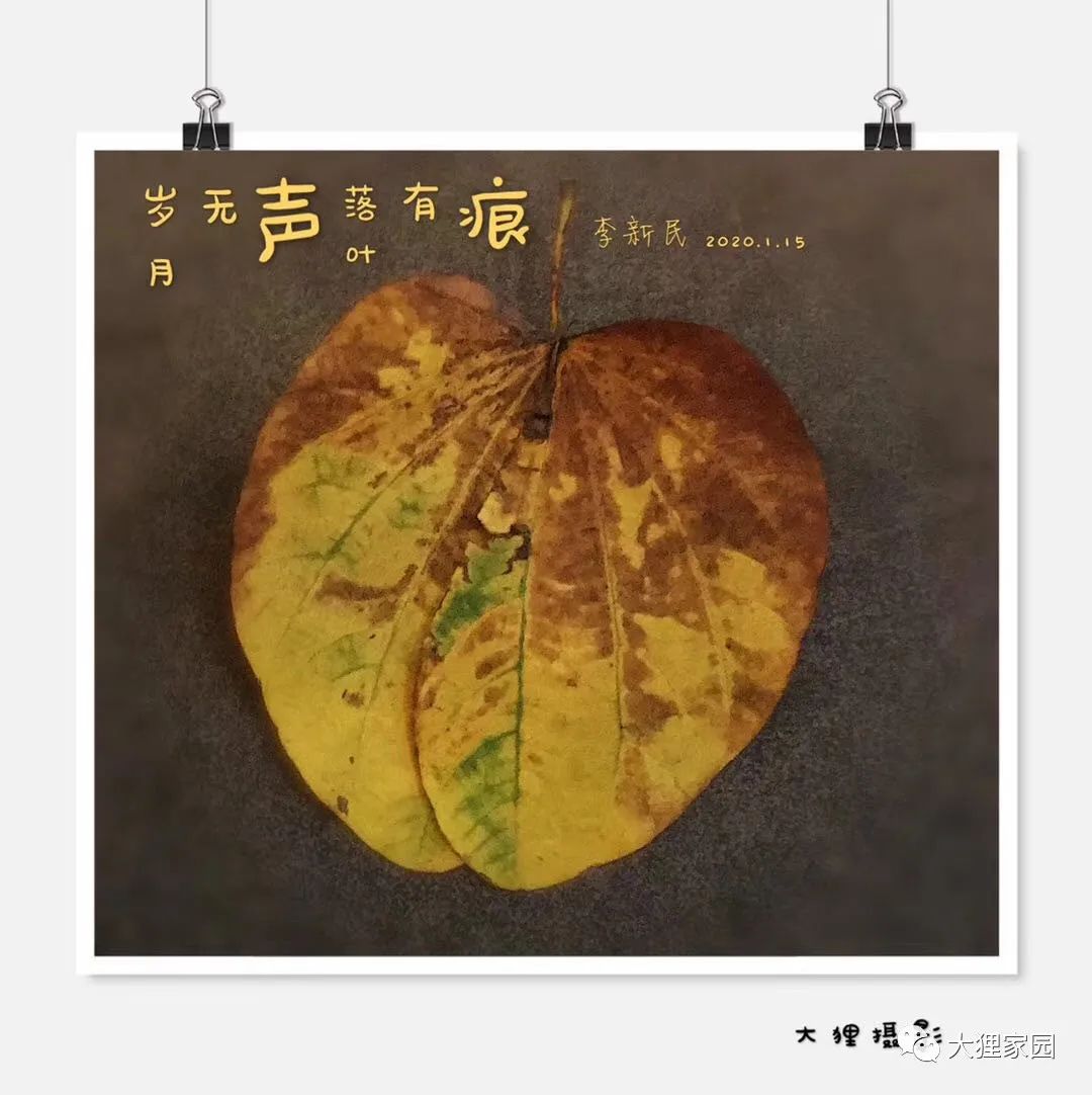 带娃的日子有滋有味,为什么别人的日子过得有滋有味儿