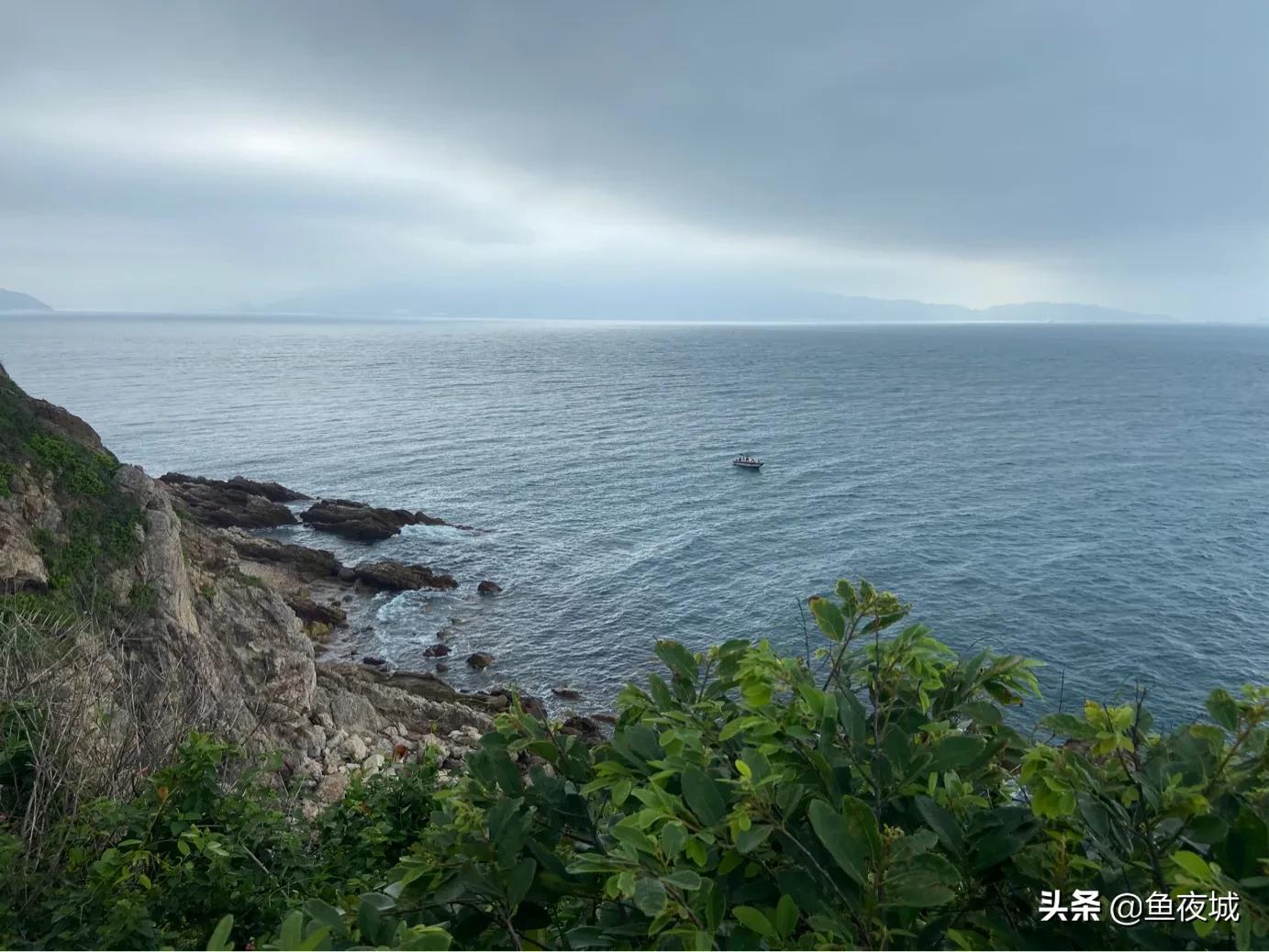 自媒体在哪个平台收益最好,自媒体平台视频收益排行榜