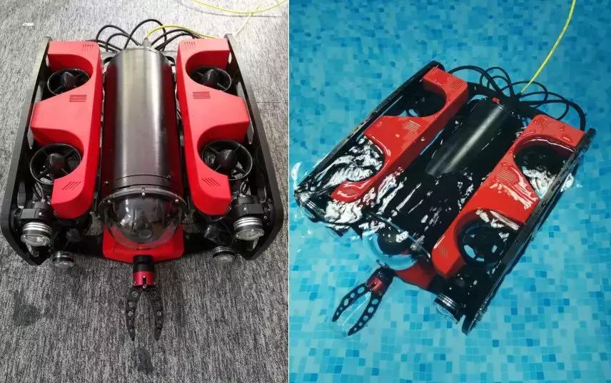 群“芯”汇聚！浦软携12家园企亮相第21届工博会